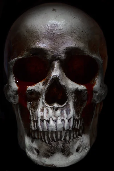 Crânio humano assustador vista frontal lágrimas de sangue Fotos De Bancos De Imagens Sem Royalties
