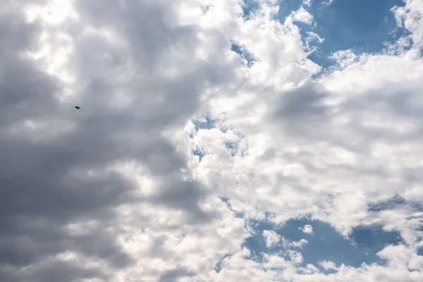 Beautiful Dark Summer Clouds Afternoon — Stock Photo, Image