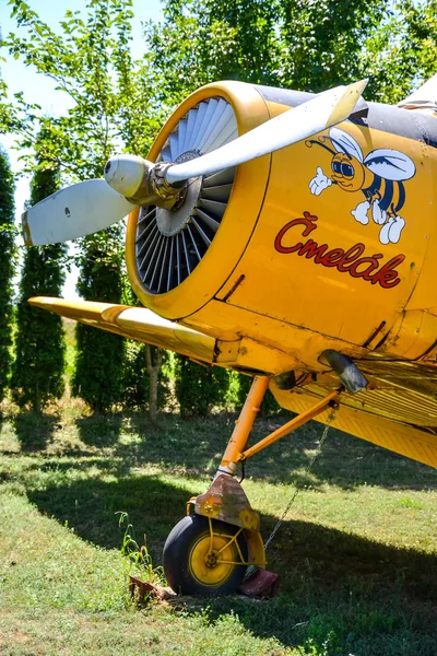 Bumble Bee Agro Avión Con Abejorros Pintados Cubierta Del Motor — Foto de Stock