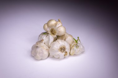 Sarmısakları ışık ile boyalı