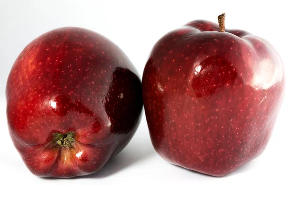 Two gloss red apples — Stock Photo, Image