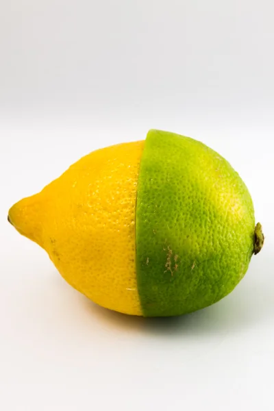 Citrus half lemon half lime — Stock Photo, Image