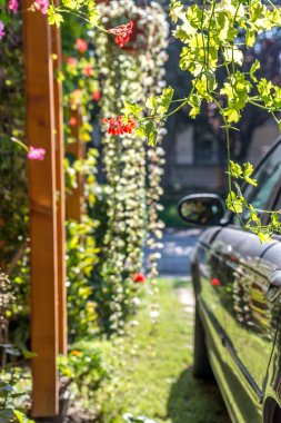 Çiçekler ve bokeh arabaya