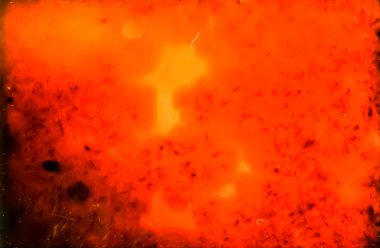 Tarihi cam ile resmi 35mm manny kusurları ile Sovyet Orwochrom Ut 21 film için mikroskobunun kontrol