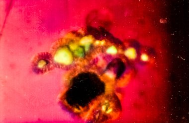 Tarihi cam ile resmi 35mm manny kusurları ile Sovyet Orwochrom Ut 21 film için mikroskobunun kontrol