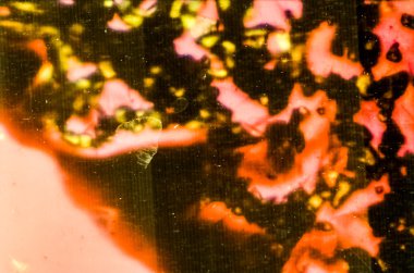 Tarihi cam ile resmi 35mm manny kusurları ile Sovyet Orwochrom Ut 21 film için mikroskobunun kontrol