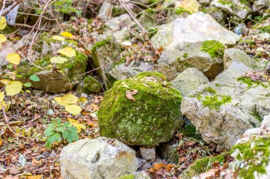 Kasım itibariyle Şehir Parkı taş döşeli bahçe