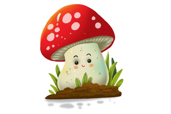 Paddenstoelen — Stockfoto