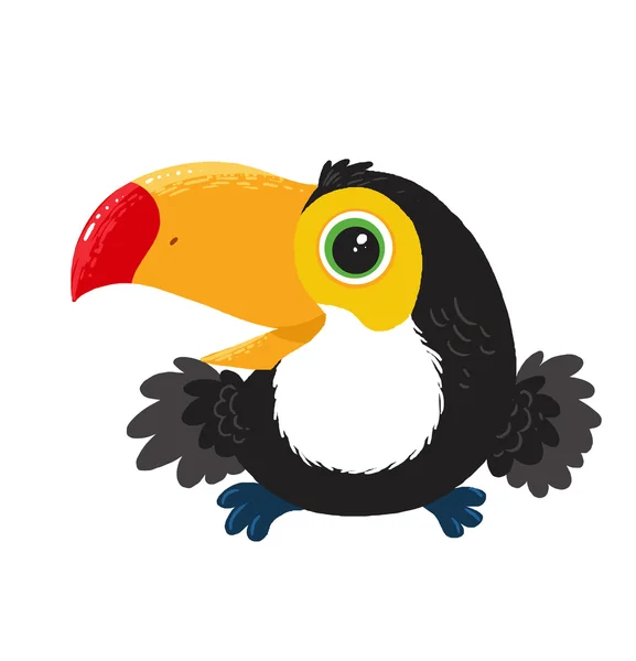Carino sorridente toucan — Foto Stock