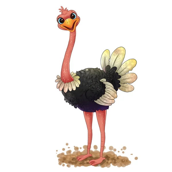 Cute ostrich cartoon — Stock Photo, Image