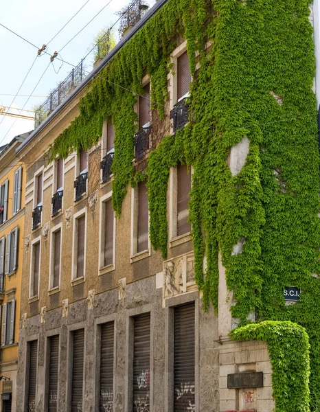Milano 'da sarmaşığa dolanmış bir binanın köşesinde.