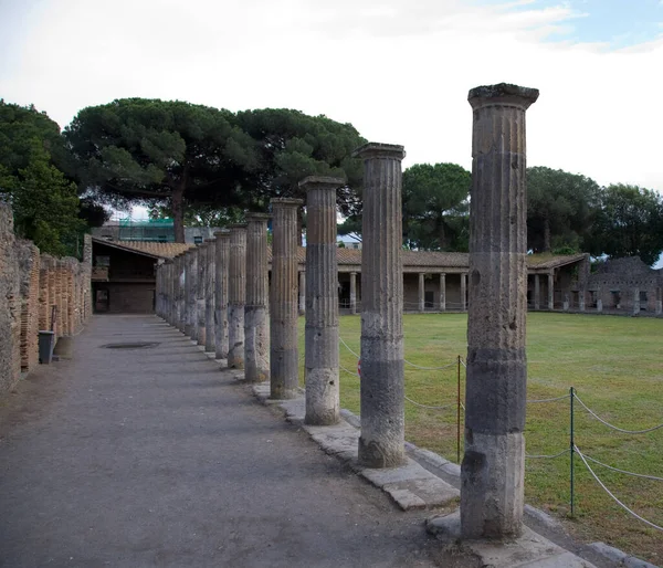 Pompeii 'deki Big Palaestra, şehrin zengin sakinleri için antika bir spor salonunun prototipi.