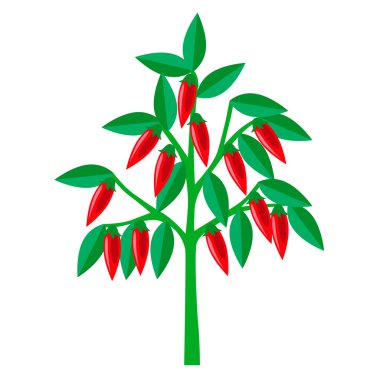 Biber ağacı. Vektör çizim