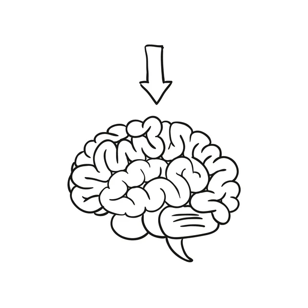 Hersenen met pijl. vectorillustratie — Stockvector