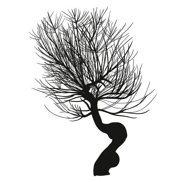Hend noyer silhouette réaliste de l'arbre . — Image vectorielle