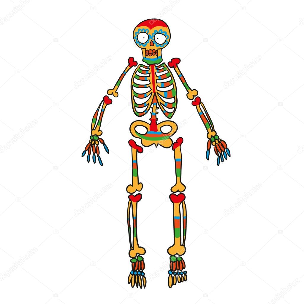 skeleton color vector doodle