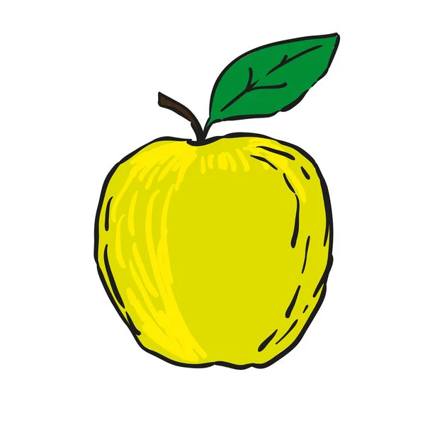 Ręcznie rysowane owoce na białym tle wektor - zielone jabłko — Wektor stockowy