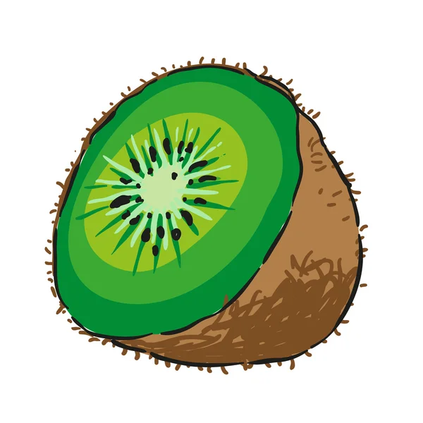 Kiwi fruits dessinés à la main vecteur isolé — Image vectorielle