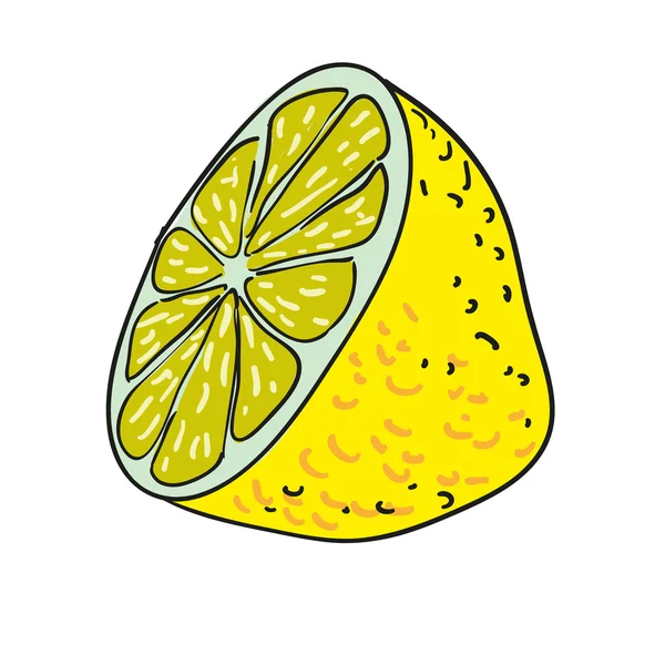 Limón frutas dibujadas a mano vector aislado — Archivo Imágenes Vectoriales