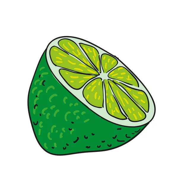 Citron vert - fruits dessinés à la main vecteur isolé — Image vectorielle