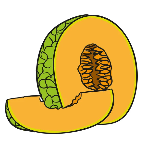 Melone - von Hand gezogene Früchte isolierter Vektor — Stockvektor