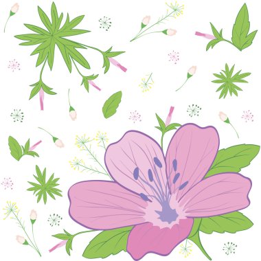 Çiçek orman Sardunya