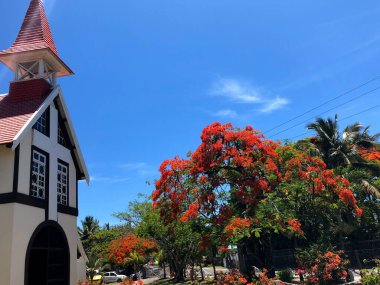 Mauritius 'ta kırmızı çiçekli bir kilise.