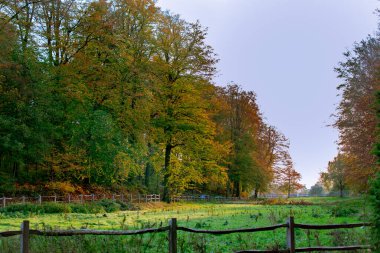 Sonbaharda çayır manzarası 