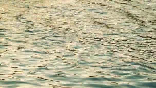 Onde d'acqua al tramonto — Video Stock