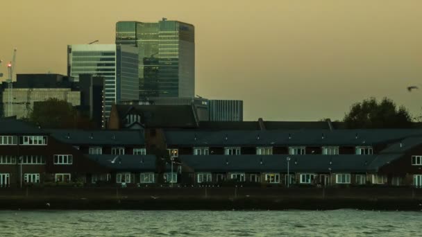 Canary Wharf, Londra, Thames martı — Stok video