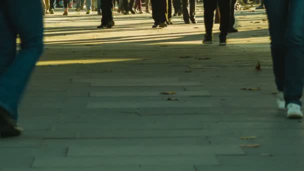 Anonym crowd, feet at sunset — Stock Video