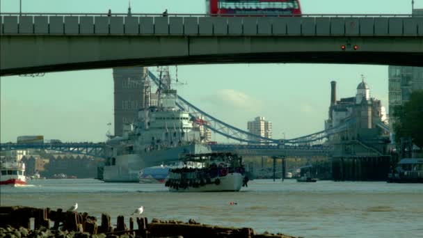 Bright morning on the Thames, Boat passing, London — Stock Video