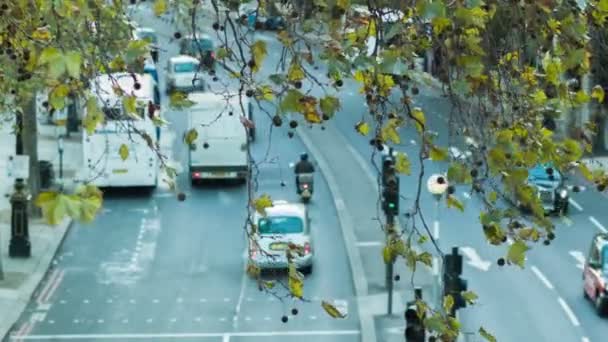 London - 12 November, 2014: Hög vinkel skott, London trafik suddig, träd och blad i förgrunden — Stockvideo