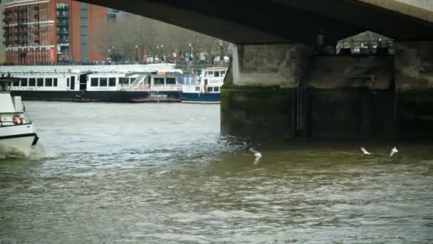 Londra - 03 DICEMBRE 2014: Passaggio in barca sotto il ponte — Video Stock
