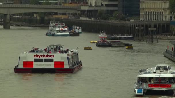 伦敦-2015 年 8 月 11 日: 旅游船，在泰晤士河畔，伦敦 Citycruises — 图库视频影像