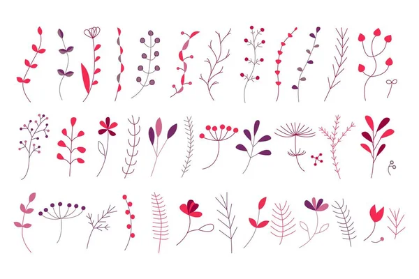 Set Von Floralen Elementen Essbarer Schlaganfall Blume Und Blätter Vektor — Stockvektor