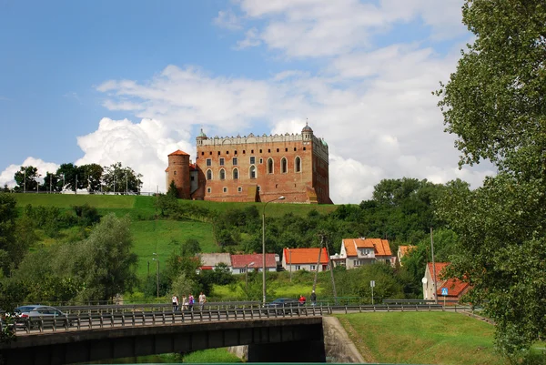 城堡在戈卢布-多布任 图库图片