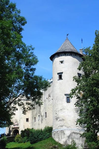 Château de Niedzica — Photo