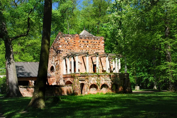 Τέμενος αρχιερέας στο πάρκο — Φωτογραφία Αρχείου