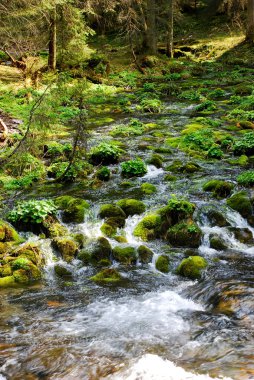 Valley Koscieliska akışında
