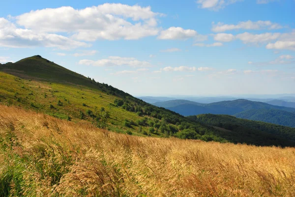 Για τα βουνά Bieszczady, Polonina Wetlinska — Φωτογραφία Αρχείου