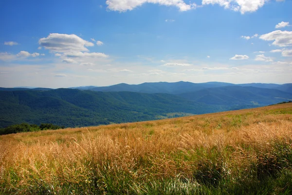 Polonina Wetlinska Bieszczady 山 — 图库照片