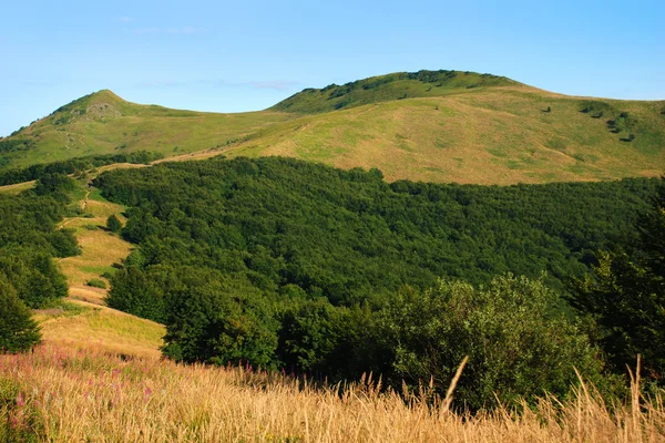 Για τα βουνά Bieszczady, Polonina Wetlinska — Φωτογραφία Αρχείου