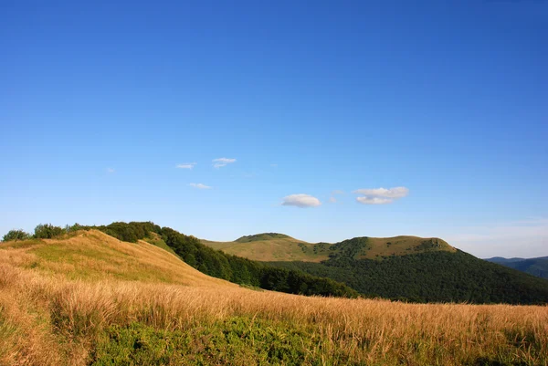 Polonina Wetlinska Bieszczady 山 — 图库照片