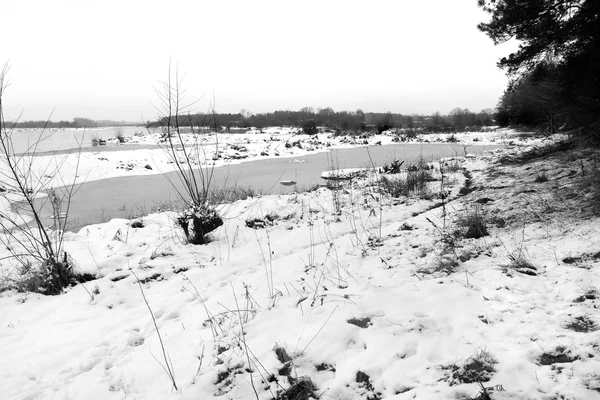 Invierno en el insecto — Foto de Stock