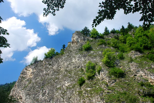 Cerca del río Dunajec — Foto de Stock