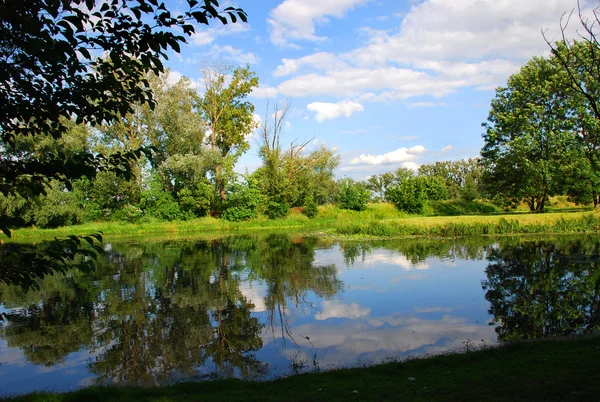 Pond — Stock Photo, Image