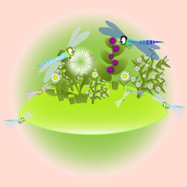 yusufçuk bir çayır üzerinde