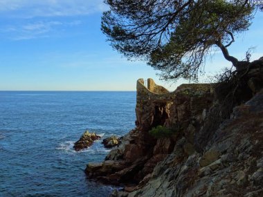 Lloret de Mar Sahili, Costa Brava, Katalonya, İspanya 'da bir ağaç ve dalgalarla denize bakan bir kapı.