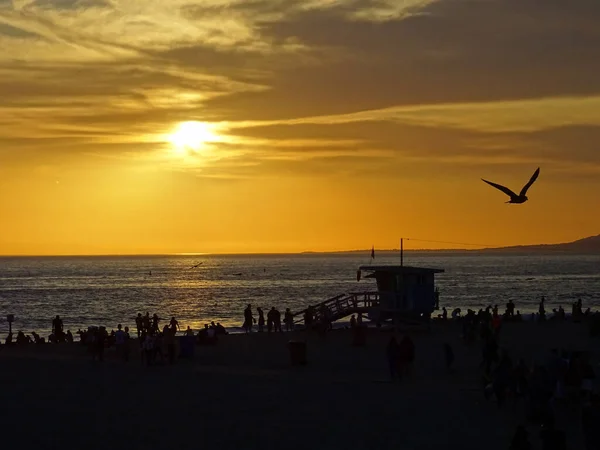 Západ Slunce Pláži Venice Los Angeles Kalifornie Usa Lidmi Siluety — Stock fotografie